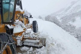 Bitlis’te Karla Mücadele Çalışmaları