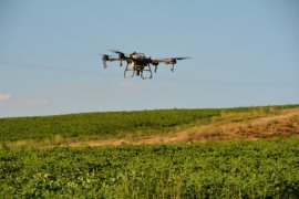 Bitlis’teki Çiftçiler Zirai Drone İle İlaçlama Yapılıyor