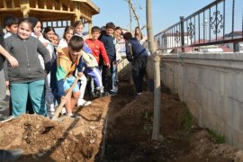 Cumhuriyet Bayramı Dolayısıyla Tatvan’daki Okul Bahçesine Fidan ve Gül Ağacı Dikildi