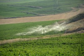 Bitlis’teki Çiftçiler Zirai Drone İle İlaçlama Yapılıyor