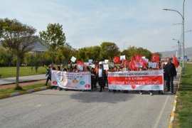 Tatvan’da ‘Dünya Yürüyüş Günü’ etkinliği düzenlendi