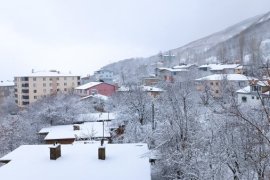 Bitlis İl Genelinde Kar Yağışı Etkili Oldu