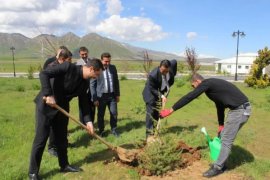 Tatvan Devlet Hastanesi Bahçesinde Ağaç Dikme Etkinliği Düzenlendi