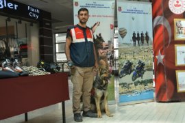 Jandarma Tatvan’da Tanıtım Sergisi Açtı