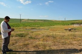 Bitlis’teki Çiftçiler Zirai Drone İle İlaçlama Yapılıyor